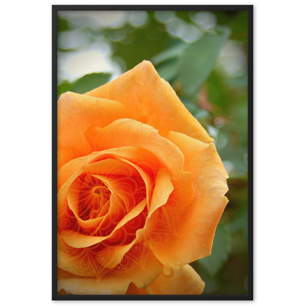 Orange Rose Mandala Framed Matte Paper Poster
