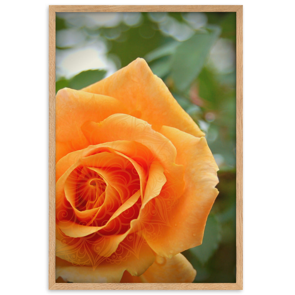 Orange Rose Mandala Framed Matte Paper Poster