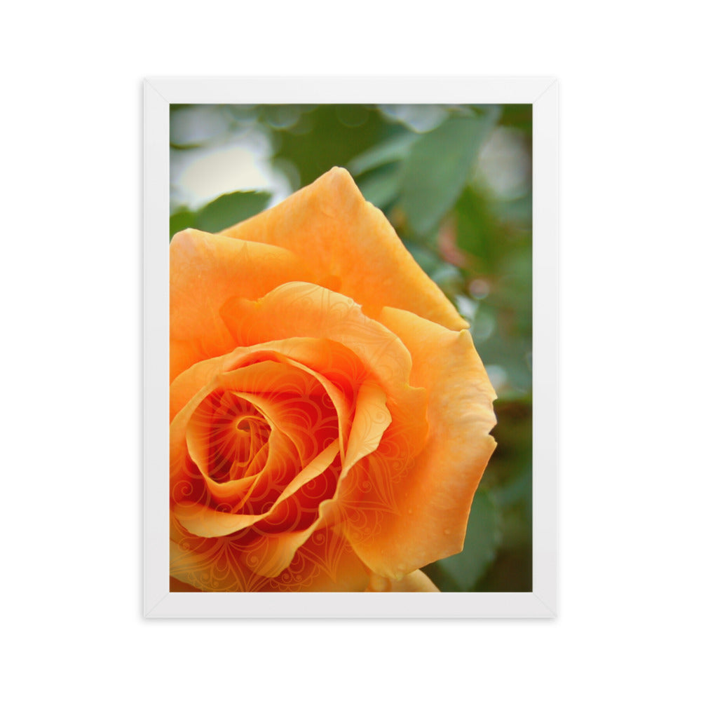 Orange Rose Mandala Framed Matte Paper Poster