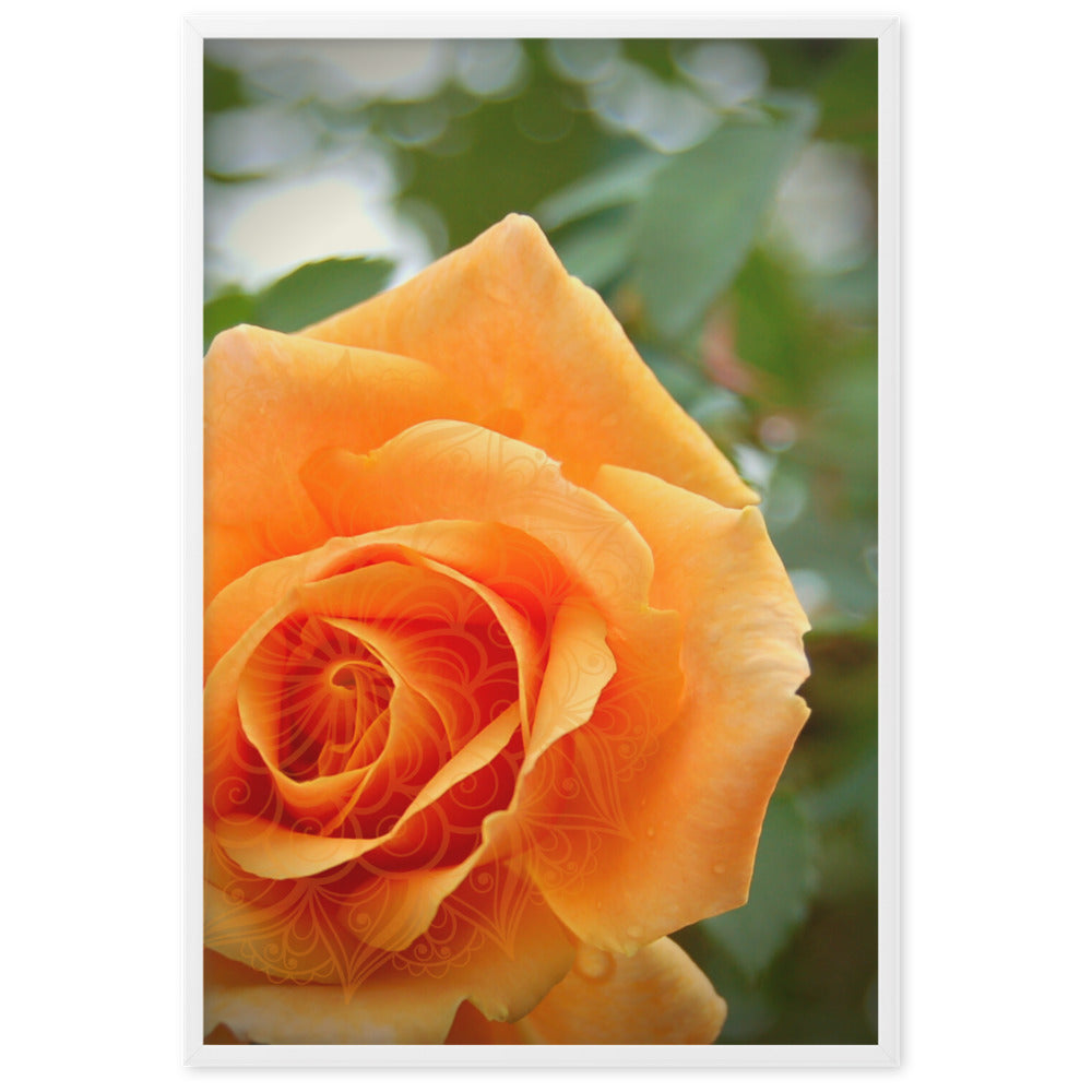 Orange Rose Mandala Framed Matte Paper Poster