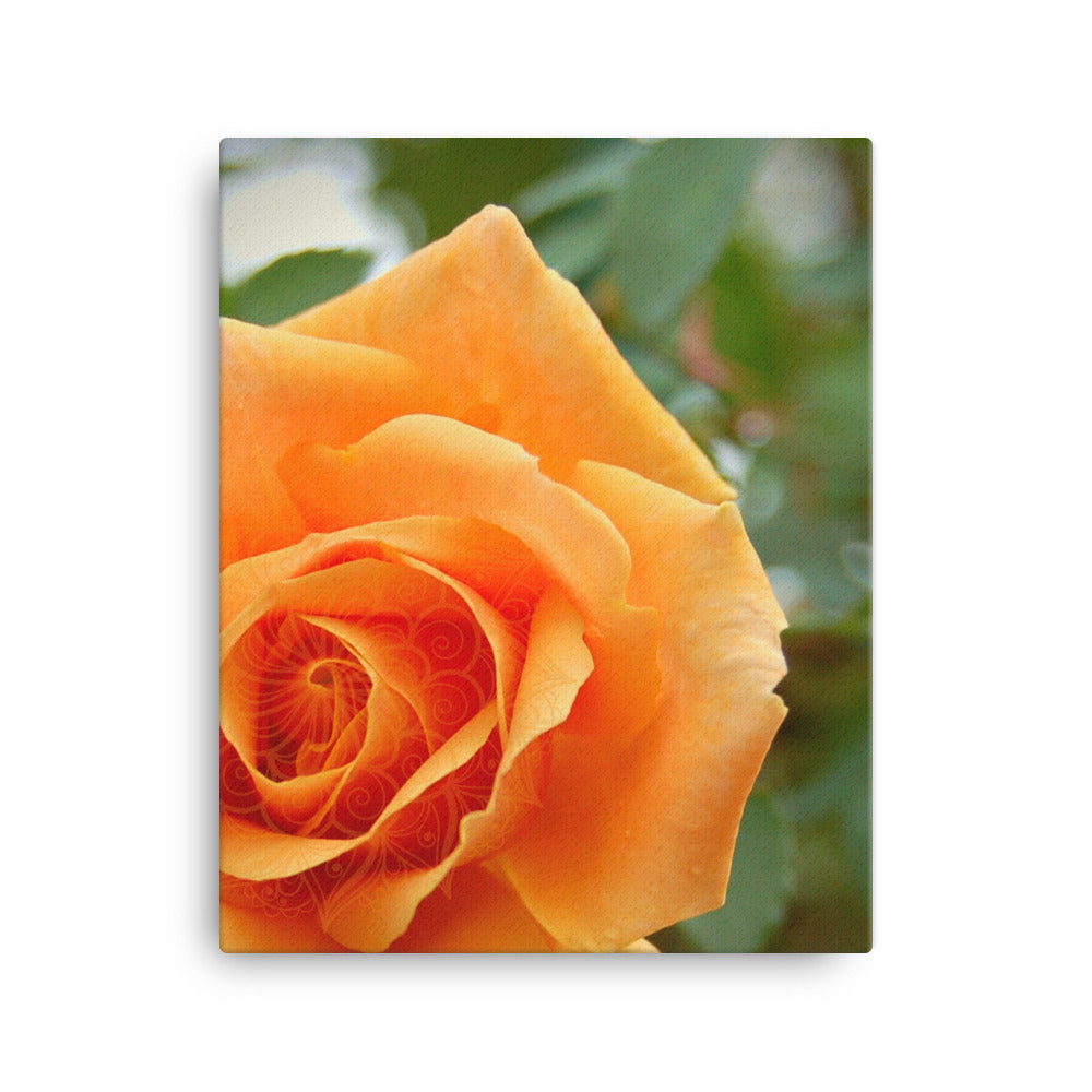 Orange Rose Mandala Canvas Print Vertical