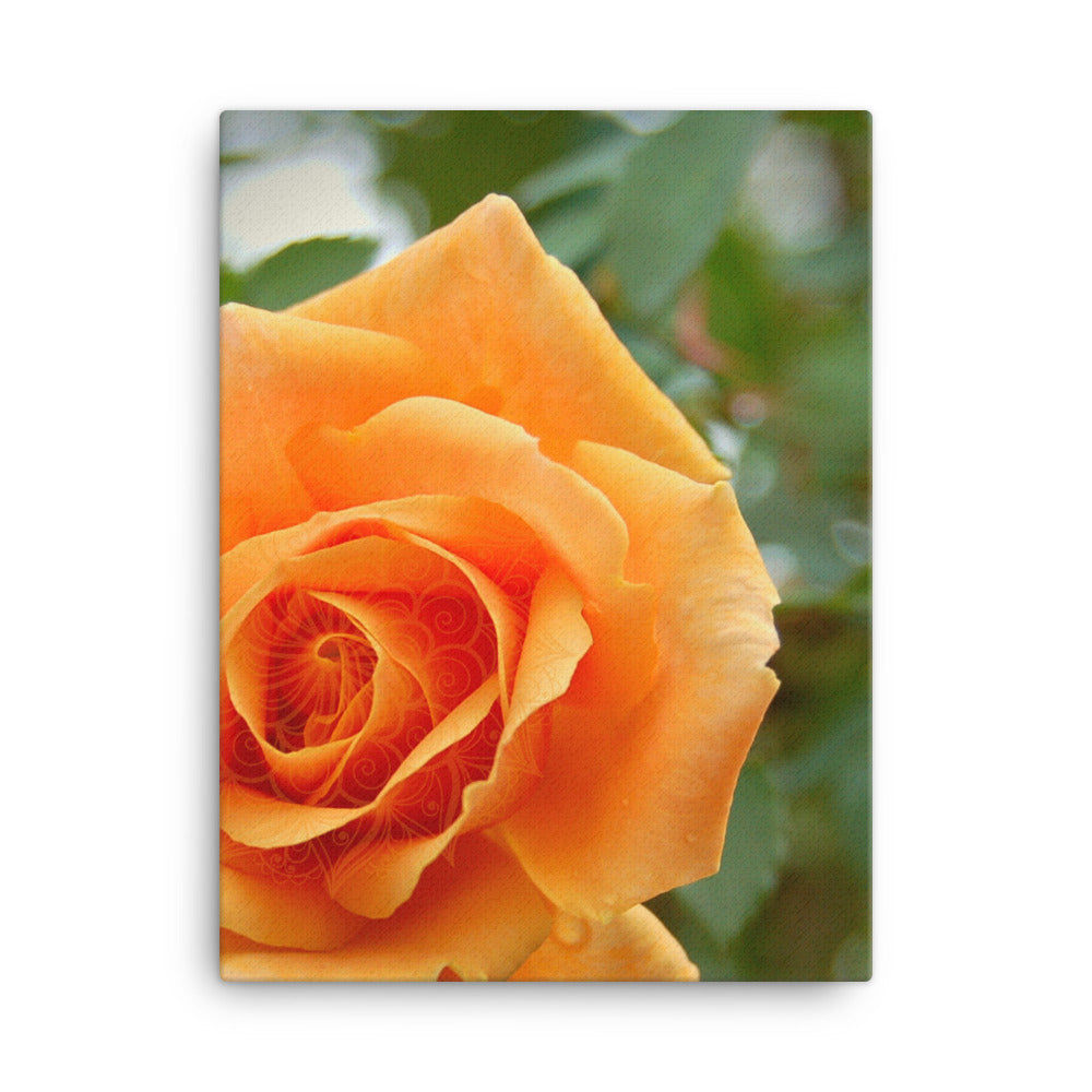 Orange Rose Mandala Canvas Print Vertical